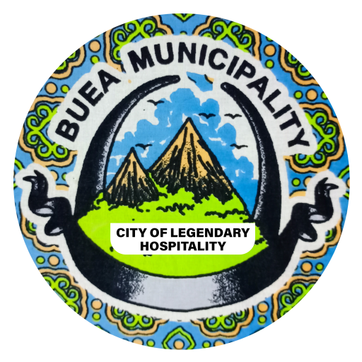 bueacouncil.cm